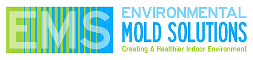Environmental Mold Solutions (Rick James)